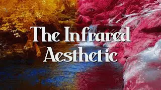 The Aesthetics of Infrared Cinematography | BMPCC 6k Pro Showcase