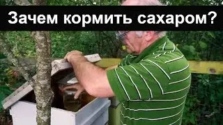 Пасека #50 Зачем кормить сахаром ? Добавка кормов к зиме. Пчеловодство. Пасека.