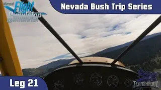 Microsoft Flight Simulator 2020 - Nevada Bush Trip - Leg 21