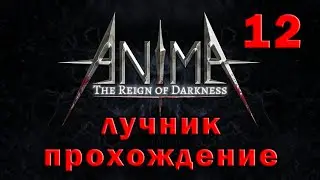 Anima arpg лучник сборка 12