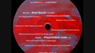 Asys - Acid Squid (CLASSIC 1996)