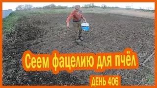 ||ДЕНЬ 406|| Продолжаю обрабатывать огороды. Проблемы с прицепом. Истребитель. Сеем фацелию.