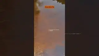 OMG! Alaska's Rivers Are Turning Orange And Acidic!