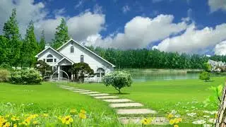 Free Stock Footage, Natural Landscape Lake background Video 
