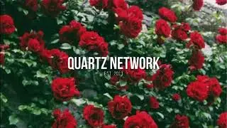 Karma Noize - ROSES Ft. Micah Byrnes