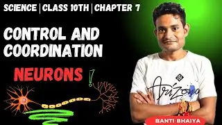 Human control and coordination science chapter 7 | Class 10th science #ncert #eduexplore