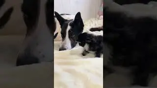 #cute