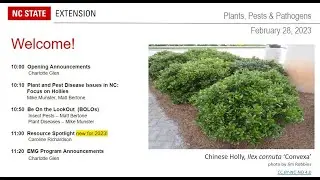 PPP February 2023 | Current Plant Pest and Disease Issues in NC: Focus on HOLLIES