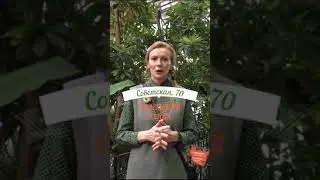 Советский район-район для современных людей. продажа квартиры по адресу ул.Советская,70. г.Томск