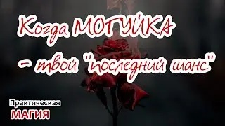 Когда МОГУЙКА - твой 