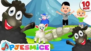 DJEČJE PJESME ♫ Crna ovco, da li imaš vune? (10 min Loop) | Vrtićka pjesmica za učenje brojeva