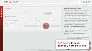 ¿Cómo agendar una cita para realizar un trámite vehicular en Cali? - PST