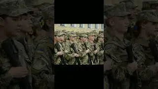 Наші котики захісники Слава Україні Героям Слава