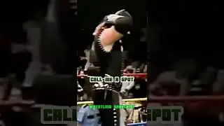 Steve Austin’s “What?” Phrase Origin Story