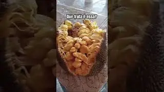Minha mãe mandou no grupo da família