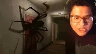 WARNING: DON'T WATCH IF YOU HATE SPIDERS
