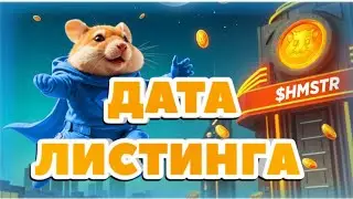 ОБЪЯВЛЕНА ТОЧНАЯ ДАТА ЛИСТИНГА HMSTR! Другие новости по Аирдропам!