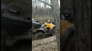 А где же желток 🤣 