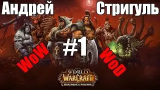 Андрей Стригуль - World of Warcraft:WoD [1/3]