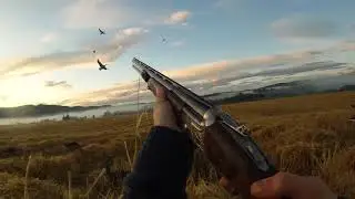 Goose hunting in Norway 2017 | Gåsejakt 2017