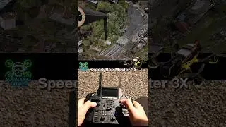 Inaccessible Bando: The Ultimate Speedybee Master 3X Challenge