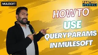 EP6 - What is query parameters and how to use them in @mulesoftvids with @sfdcpanther #sfdcpanther