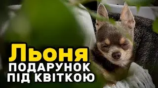 Льоня ПОДАРУНОК ПІД КВІТКОЮ