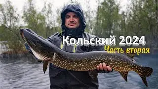Рыбалка на Кольском полуострове в июне. Часть вторая.