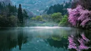 Debussy - Rêverie slowed down + reverb