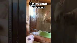 Купили заброшенную дачу. #стройка #купилизаброшеннуюдачу #дача #купилидачу