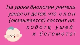 Урок биологии. Анекдот !!!