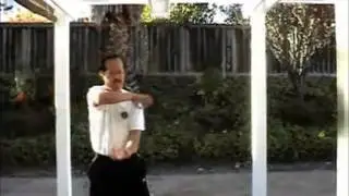 Uechi Ryu - Sanseirui Groin Rip and Knee Takedown - Henry Thom