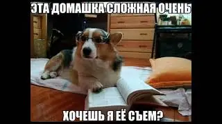 27 апреля 2024 г.