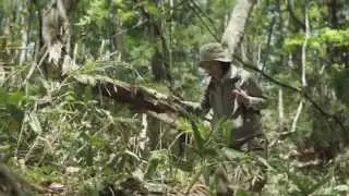 Little Forest: Winter & Spring (Music Video)