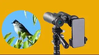 Overview: Vanguard PA-62 Digiscoping Adapter for Binoculars & Monoculars