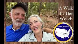 A Romantic Walk through Hendy Woods State Park
