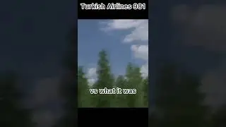 Turkish airlines  981💔 #shorts