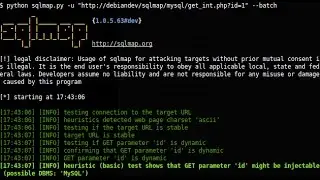 How To Run SQLmap On Windows