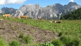 Altavia numero 6 - Tappa 3
