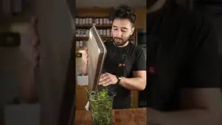 Drink More Chlorophyll ￼