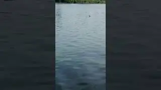 Хорошей погоды внутри!🌺🌺🌺