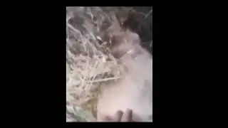 AHH BLYAT SU