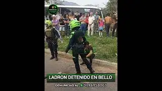 Ladrón Detenido en bello