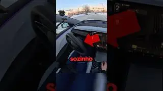 O Carro Viu Algo que a Motorista NÃO VIU! 😮