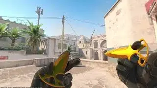 SHADOW DAGGERS TIGER TOOTH  IN CS2