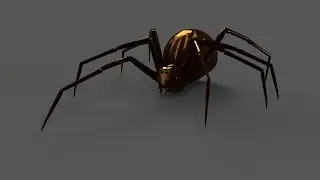 Spider -