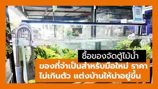 Vlog ซื้อของ #จัดตู้ปลา ฟื้นคืนชีพตู้ที่ร้างมา 2 ปี #bikbenlee