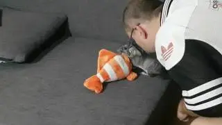 Vlog 7 + loučení s Bobíškem