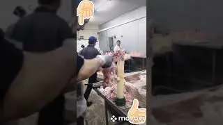 МУСОФИРДА ЮРГАНЛАР ОНАСИНИ ОЙЛАСИНИ СОГИНГАНЛАР УЧУН АЖОЙИБ КУШИК