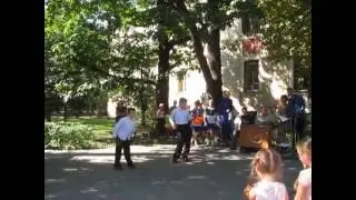 Кошка беспородная